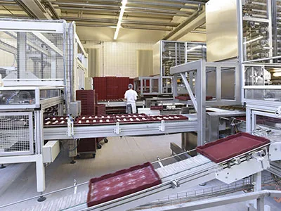 Desenvolvimento de Planta Industrial 